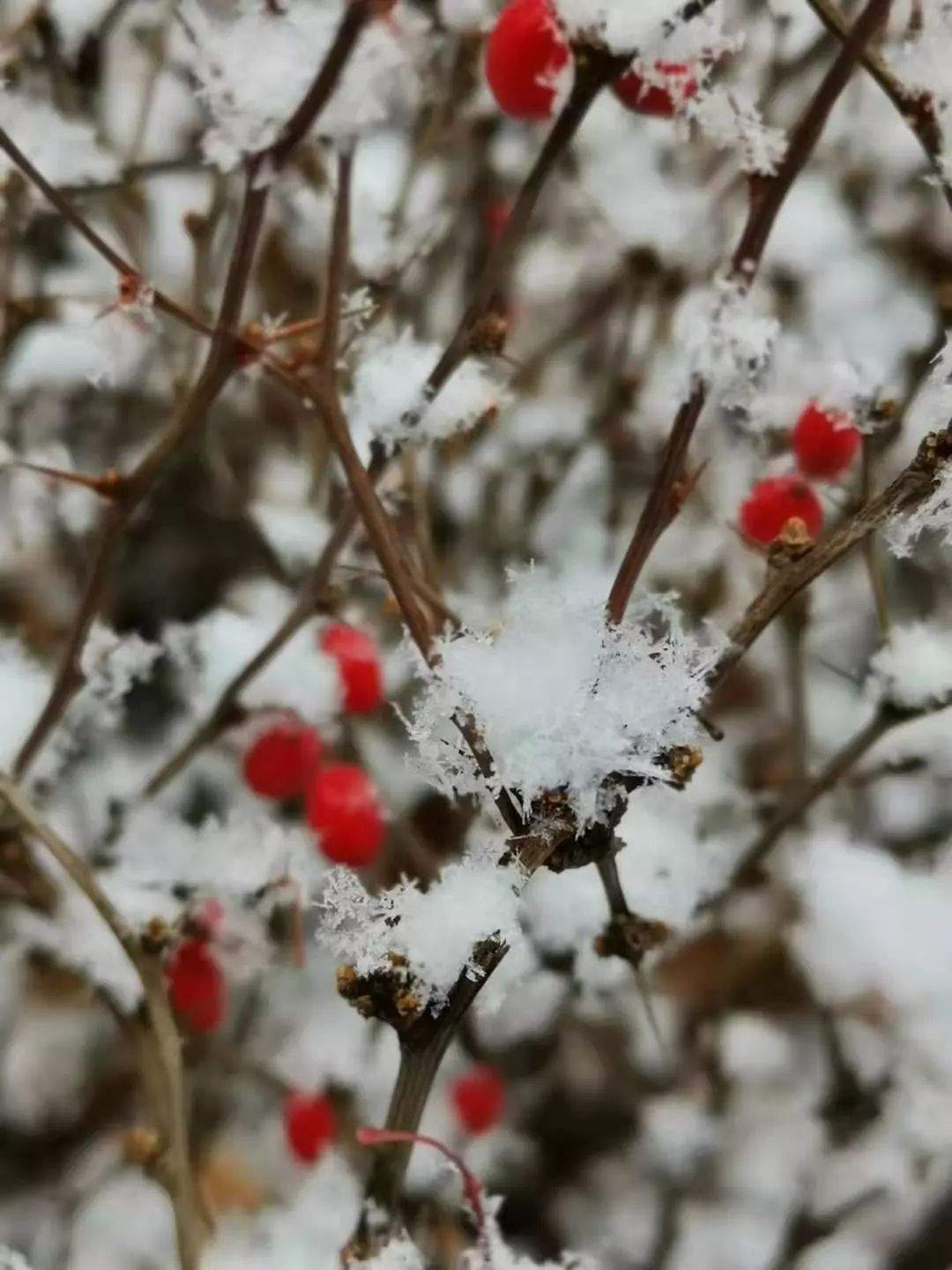 @太原人朋友圈晒雪大赛开始啦！