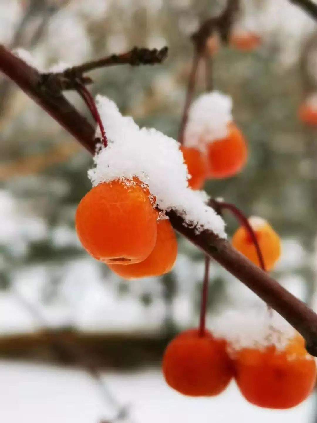 @太原人朋友圈晒雪大赛开始啦！