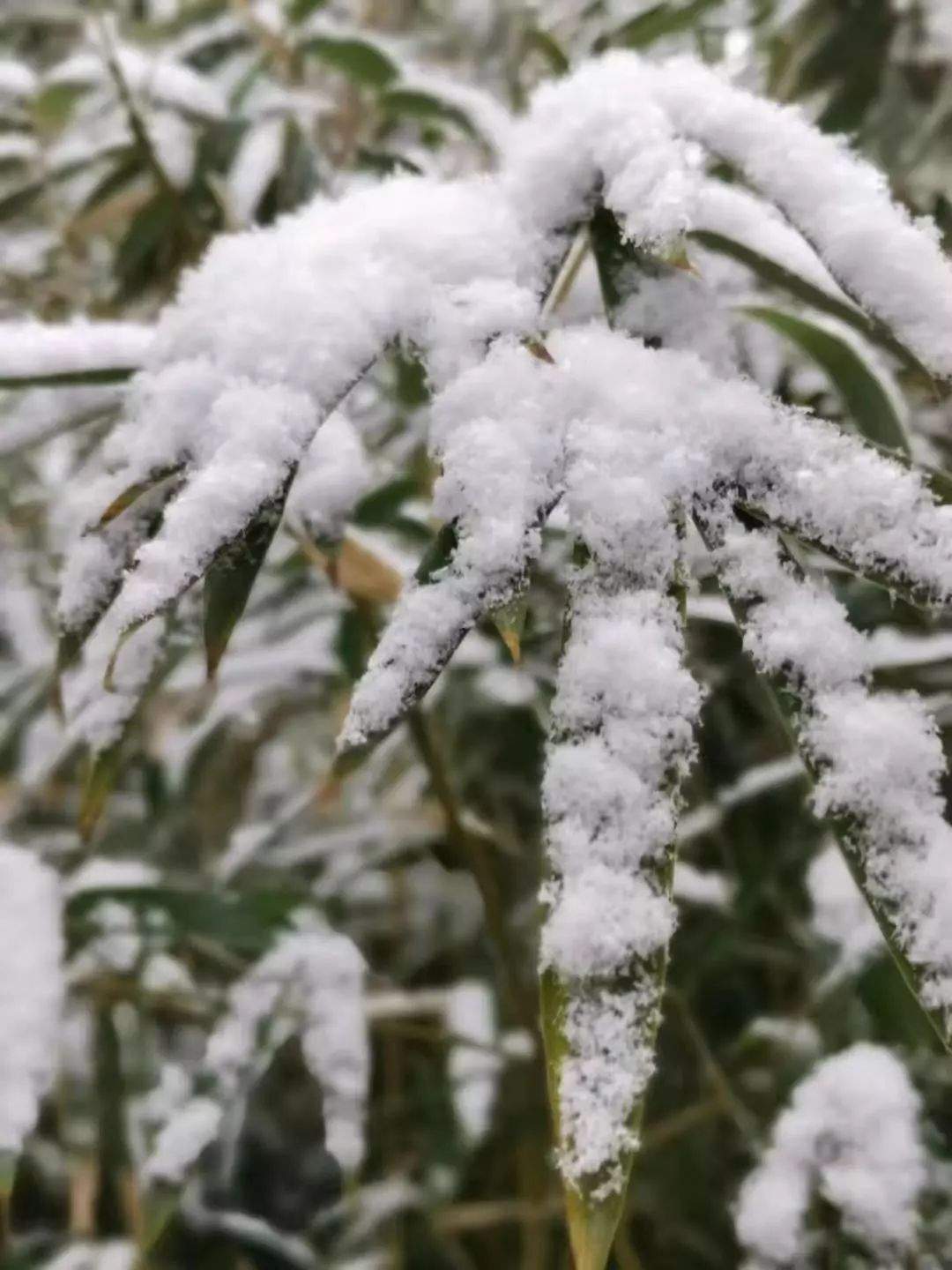 @太原人朋友圈晒雪大赛开始啦！