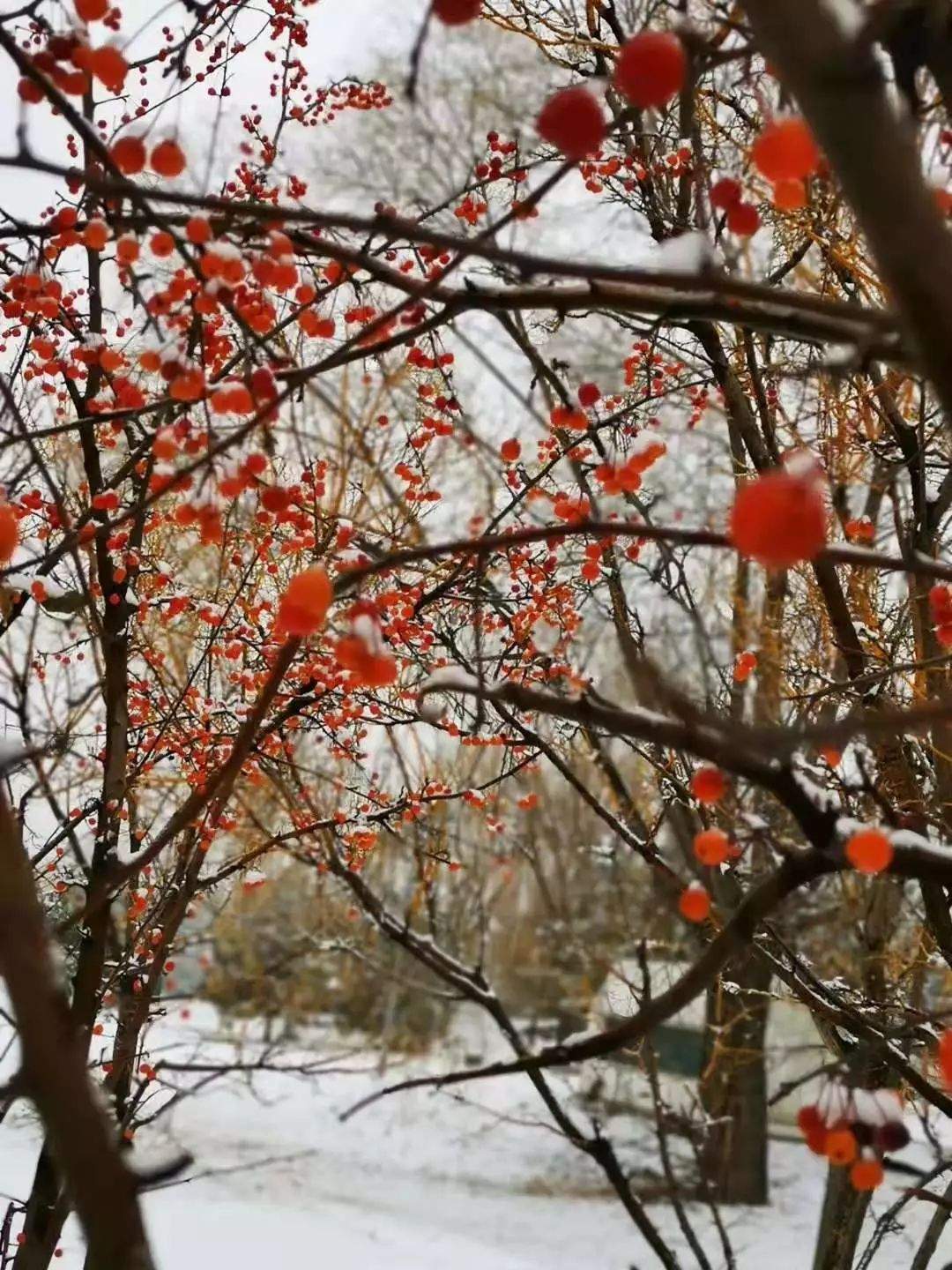 @太原人朋友圈晒雪大赛开始啦！