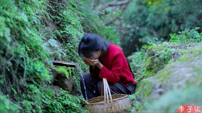 红人馆|从油管里认识李子柒，很惭愧