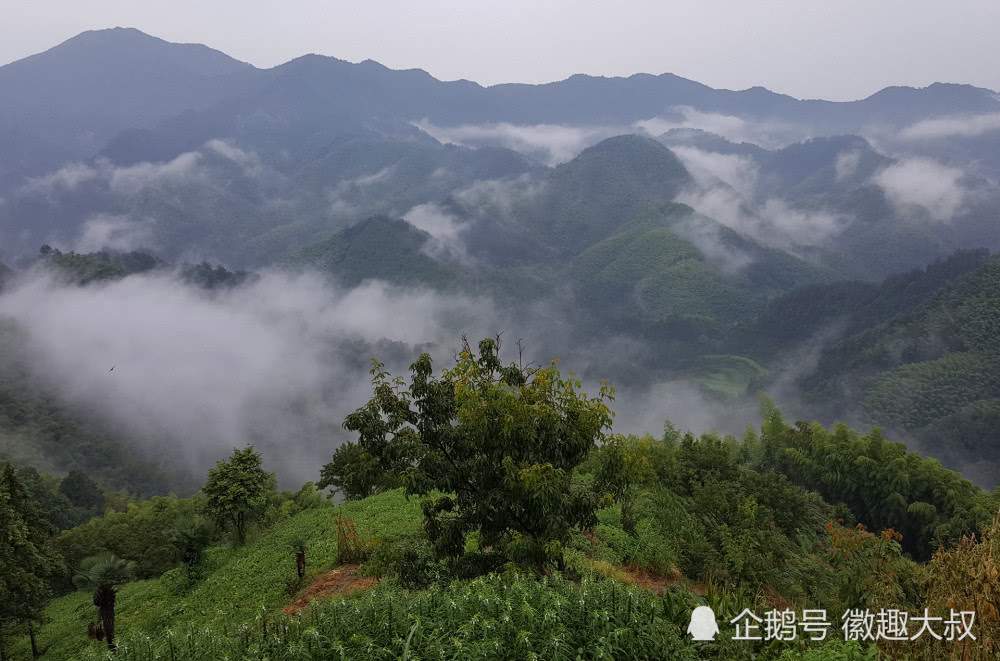 山村竹林里的老木屋，像不像李子柒家