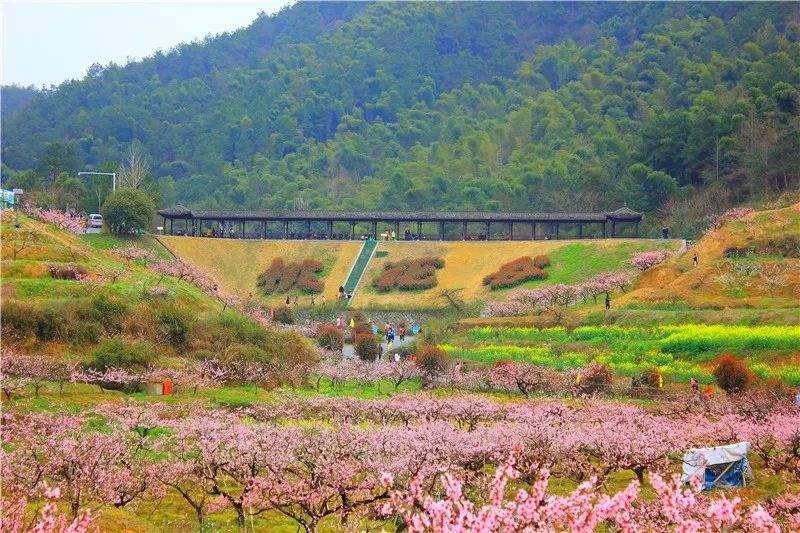 劳动节5天，国庆节8天......桐庐2020年旅行计划安排上！