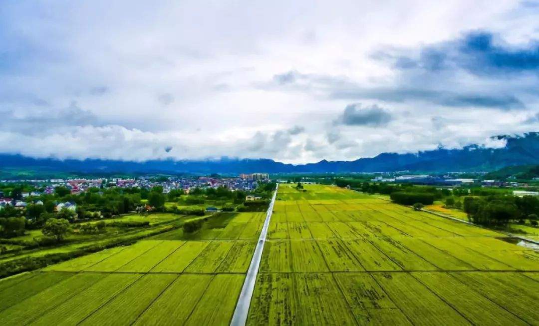 劳动节5天，国庆节8天......桐庐2020年旅行计划安排上！