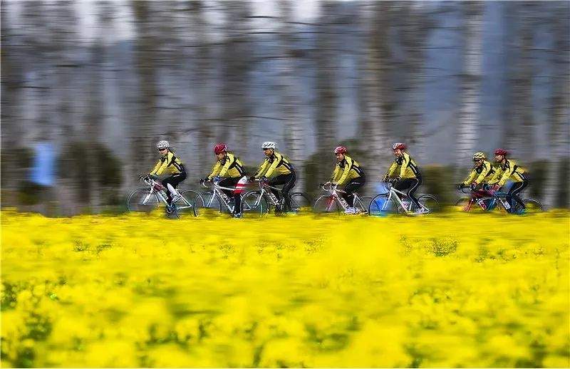 劳动节5天，国庆节8天......桐庐2020年旅行计划安排上！