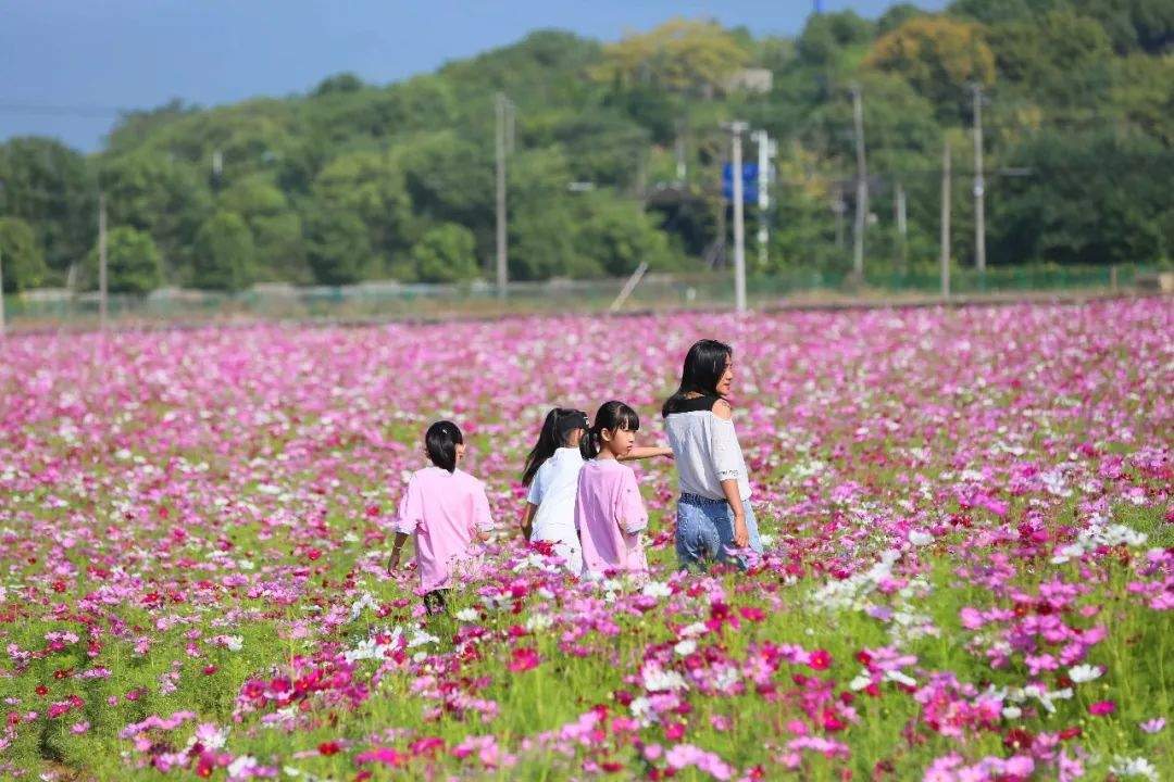 劳动节5天，国庆节8天......桐庐2020年旅行计划安排上！