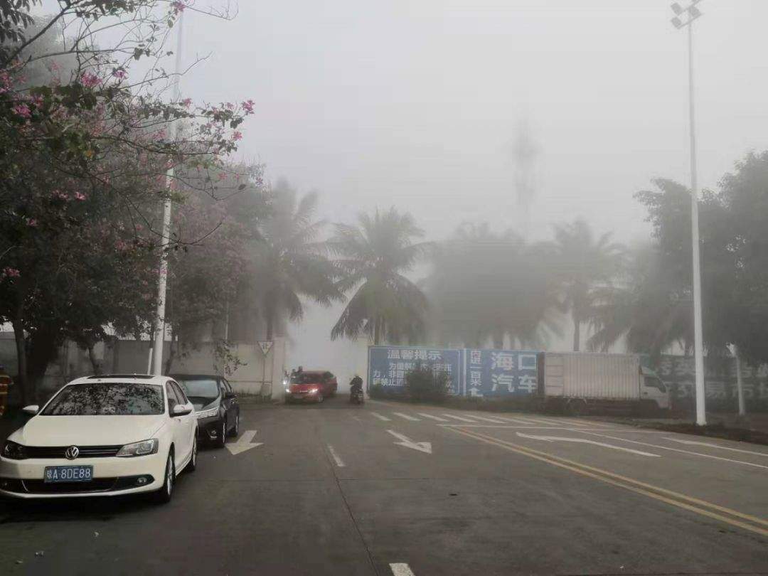 ▓▓▓▓▓ 海口雾好大！看不见标题了！台风“巴蓬”两天后进入南海！