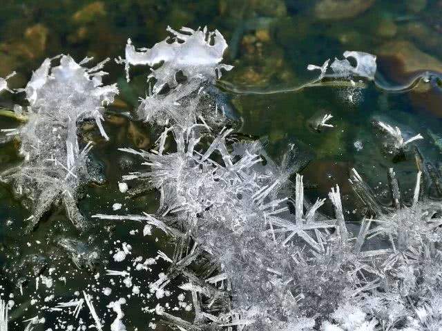 做一匹冬天的野马，在呼伦贝尔的雪原上纵驰人生！