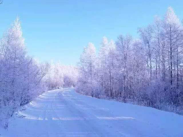 做一匹冬天的野马，在呼伦贝尔的雪原上纵驰人生！