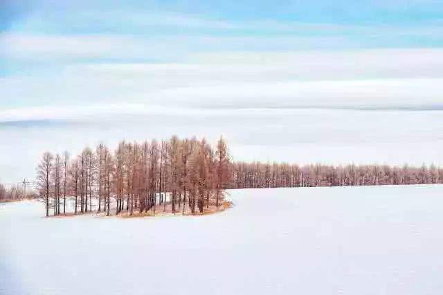 做一匹冬天的野马，在呼伦贝尔的雪原上纵驰人生！