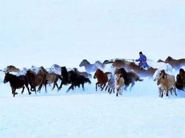 做一匹冬天的野马，在呼伦贝尔的雪原上纵驰人生！