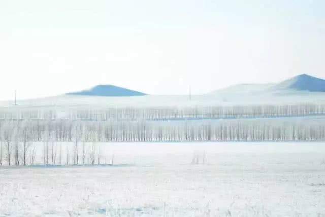 做一匹冬天的野马，在呼伦贝尔的雪原上纵驰人生！