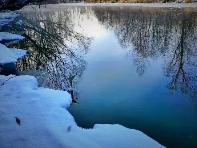 做一匹冬天的野马，在呼伦贝尔的雪原上纵驰人生！