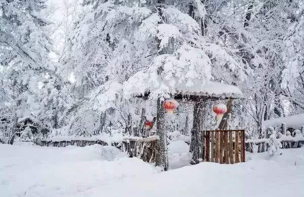 做一匹冬天的野马，在呼伦贝尔的雪原上纵驰人生！