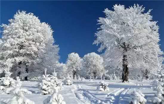 做一匹冬天的野马，在呼伦贝尔的雪原上纵驰人生！