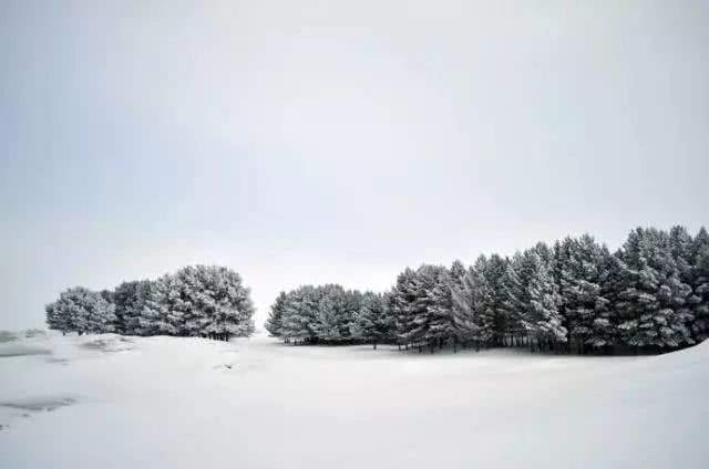 做一匹冬天的野马，在呼伦贝尔的雪原上纵驰人生！