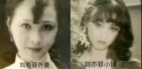 天仙刘亦菲说她在家里最难看？刘亦菲妈妈比她还要美！