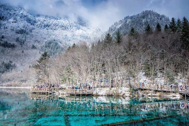 九寨沟的顶流，地震都震不垮