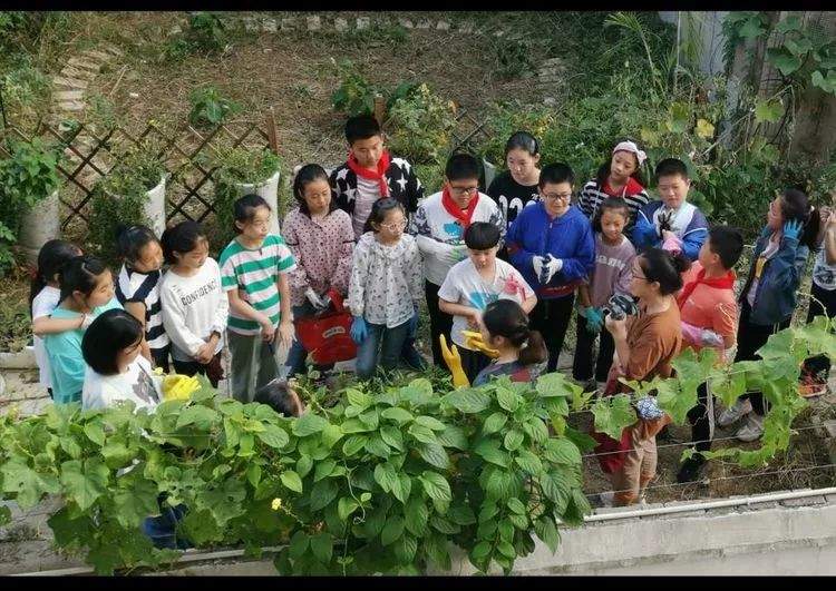 回顾2019｜实验小学：以项目工作室为引擎，驱动课程内涵建设