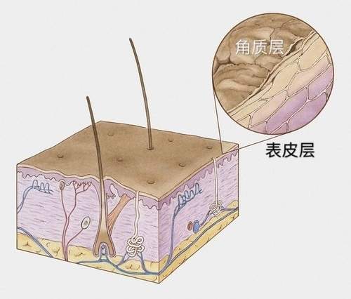 虞书欣“手刃”绿茶！个性白富美也有美容盲区