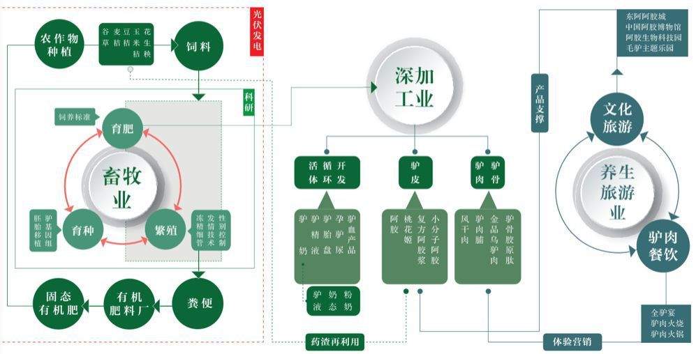 走进东阿阿胶——毛驴+时代：解密东阿阿胶如何打造百亿产业链