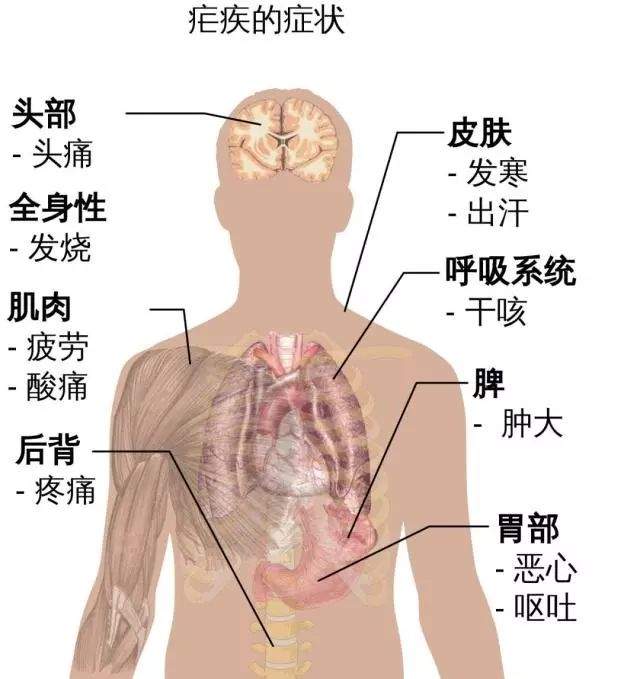 屠呦呦入围BBC“20世纪最伟大科学家” 与居里夫人、爱因斯坦、图灵“齐名”