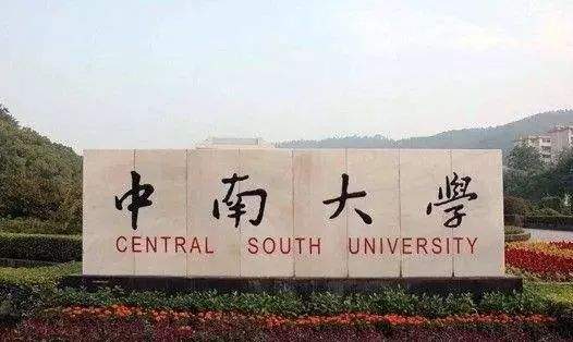 中南大学陈林团队涉嫌严重学术不端