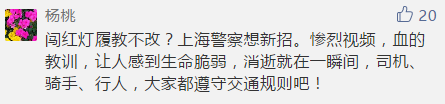 闯红灯屡教不改？ 交警让你看死亡事故视频！