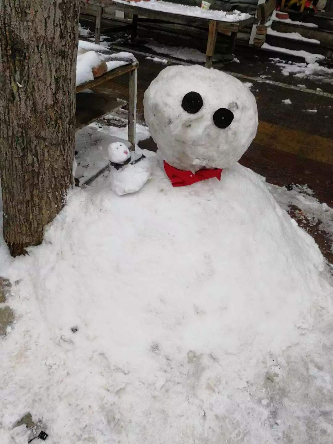 邱县2019年度第一届堆雪人大赛开始！