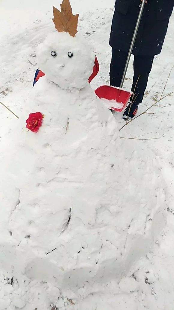 邱县2019年度第一届堆雪人大赛开始！