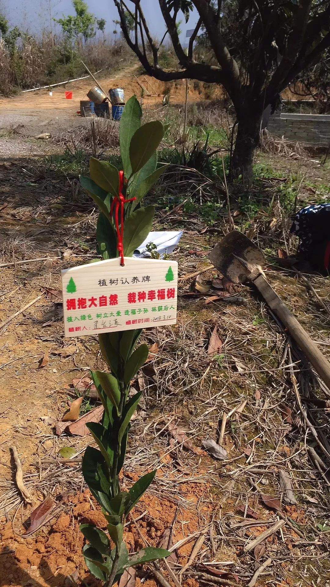 【拥抱大自然 栽种幸福树】 皇帝洞大峡谷+植树造林自驾一日活动（3月指定时间出发）