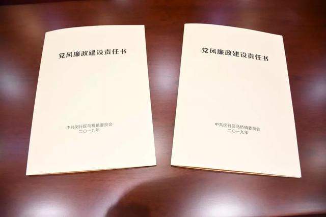 推进党风廉政建设 营造良好政治生态，马桥镇召开2019年度党风廉政建设大会