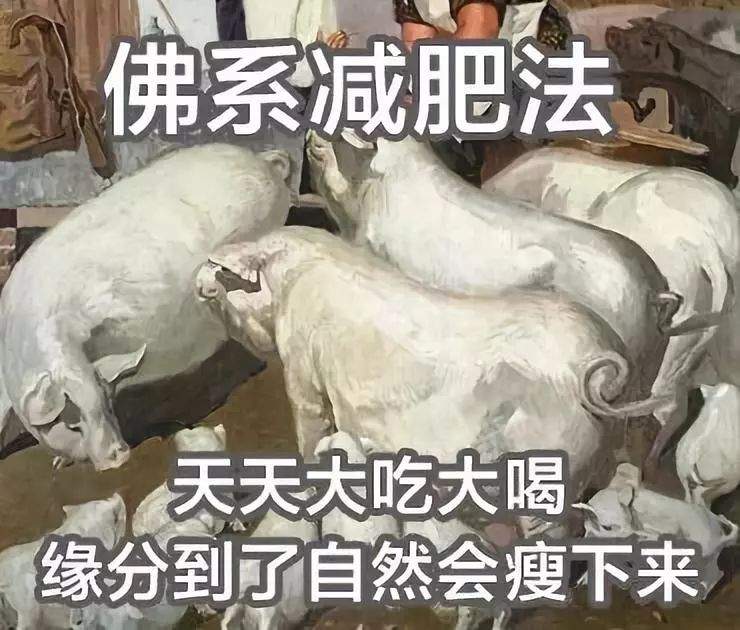 中国女子减肥图鉴