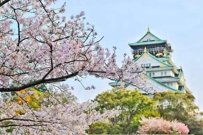 3月樱花季！成都将新增两条直飞航线，度假赏花了解一下？