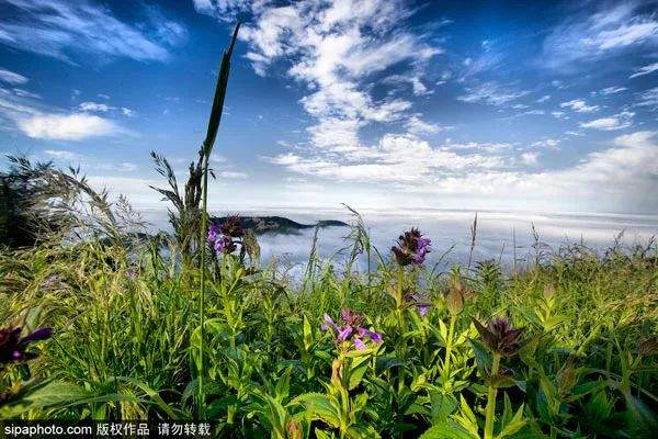 珠峰景区将永久关闭？官方回应来了！想爬山还有这些办法……