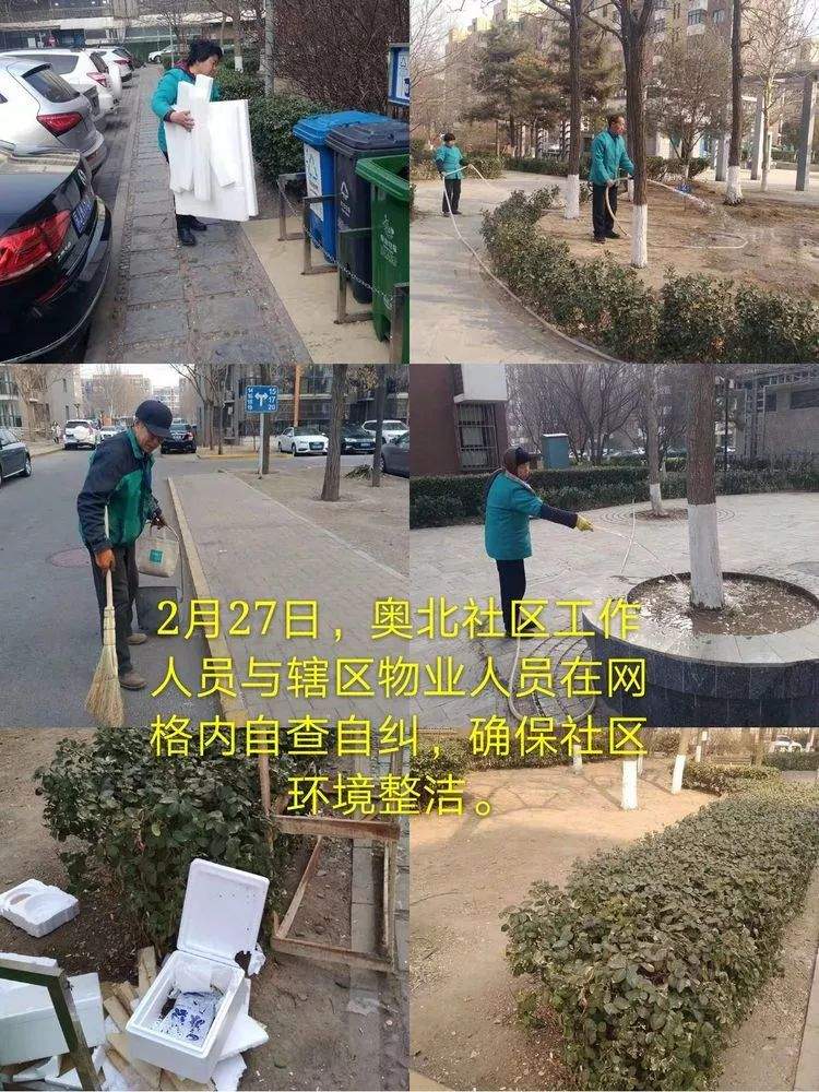 专题报道丨东升镇城市管理工作日报