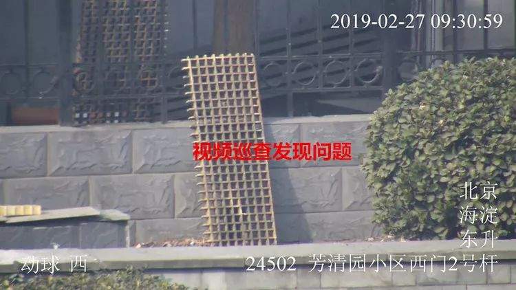 专题报道丨东升镇城市管理工作日报