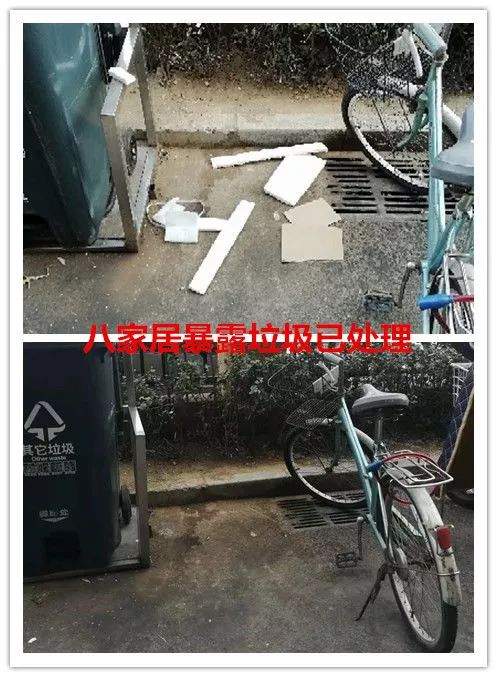 专题报道丨东升镇城市管理工作日报