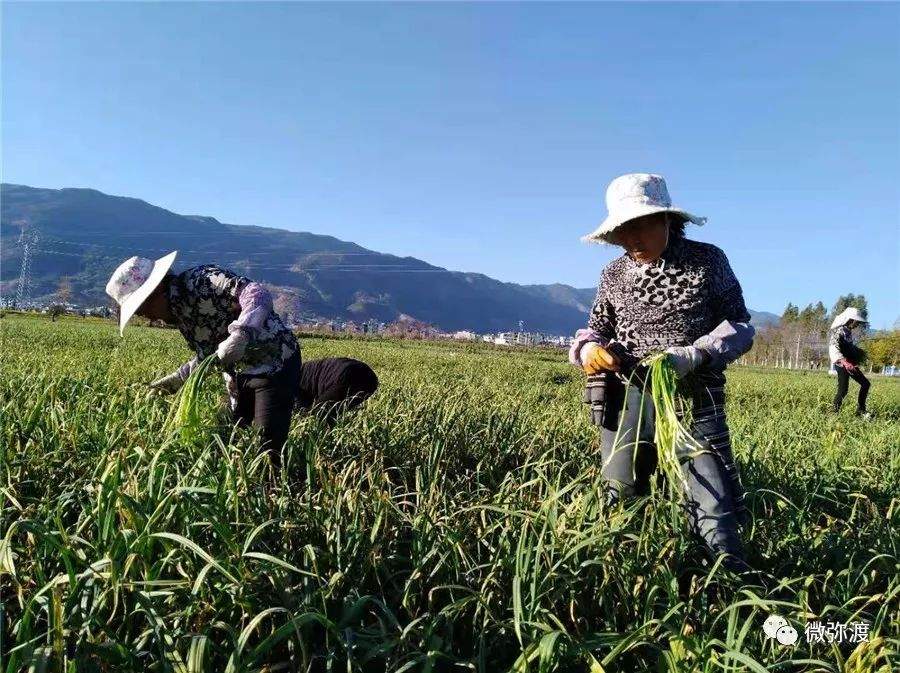 今天的新闻直通车来啦！