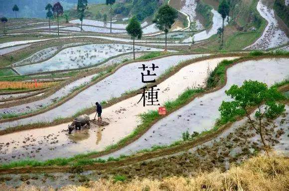 “二十四节气”原来还能如此诗意！