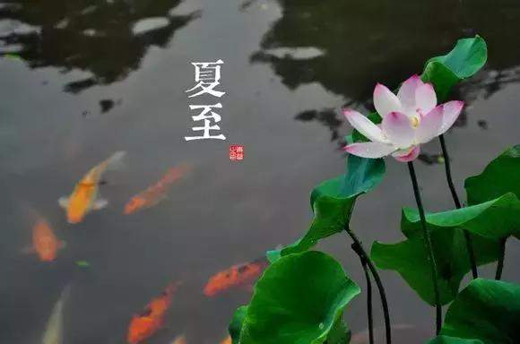 “二十四节气”原来还能如此诗意！