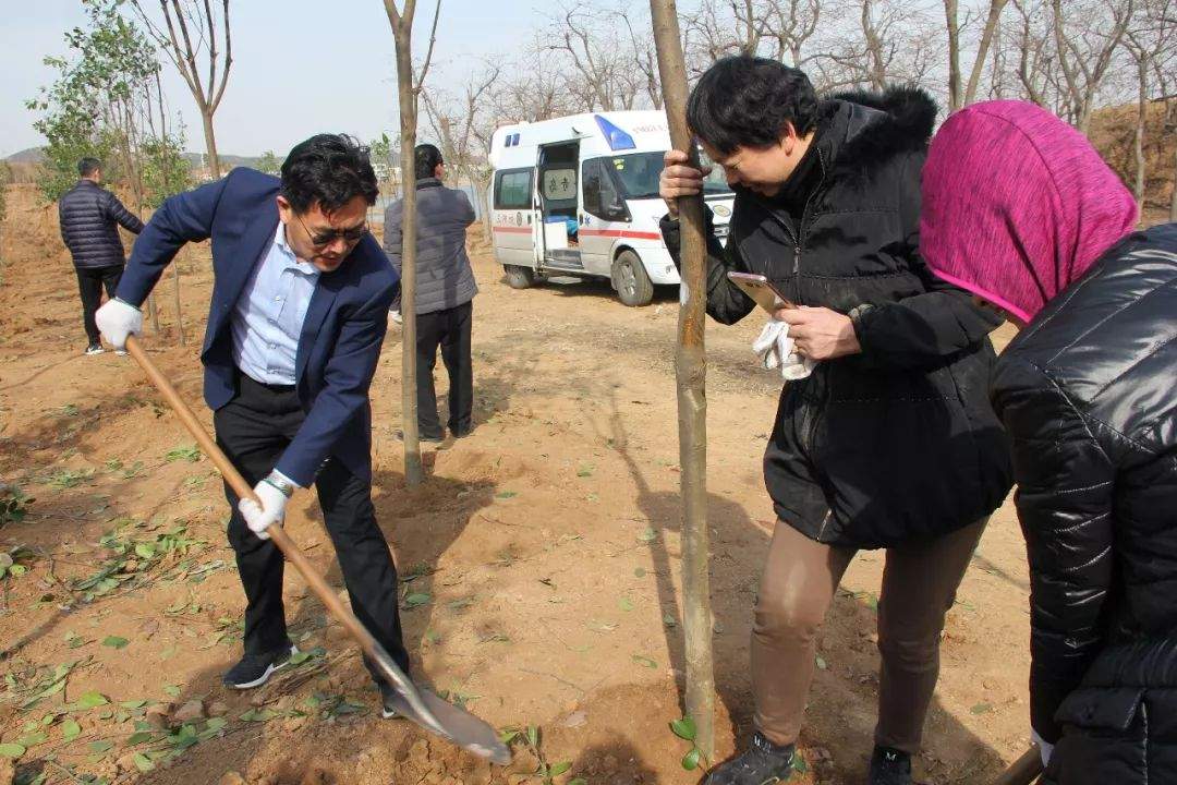 【城阳二中】教职工参与义务植树活动为绿色生态城阳增添新绿