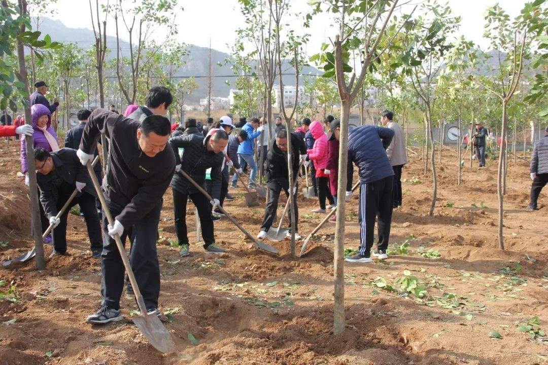 【城阳二中】教职工参与义务植树活动为绿色生态城阳增添新绿