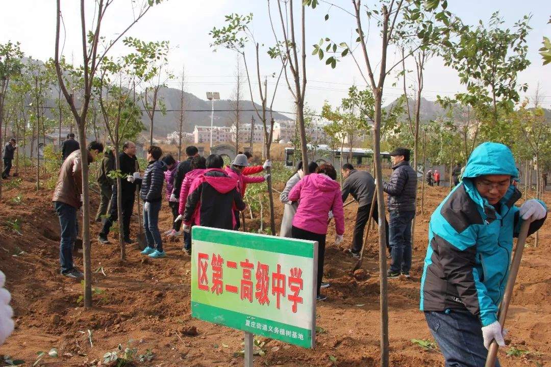 【城阳二中】教职工参与义务植树活动为绿色生态城阳增添新绿