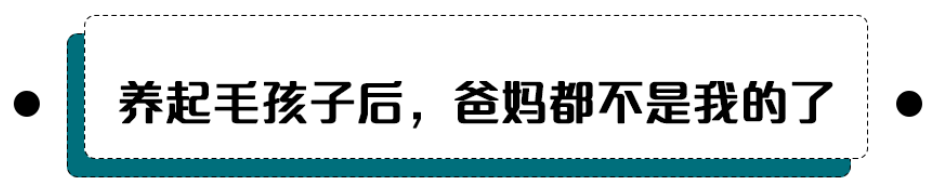 包头90后别再自称老年人了！爸妈燥起来就没我们啥事了！（免费观影）