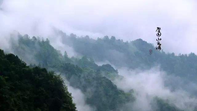 国际森林日：彭水摩围山景区免门票啦