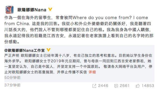 欧阳娜娜称身为中国人而骄傲，但她赚钱养全家，这个问题比较严重