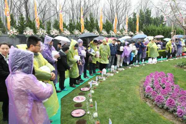 清明雨 绿色风 文明行！郑州市第十二届公益植树葬活动报名即将截止