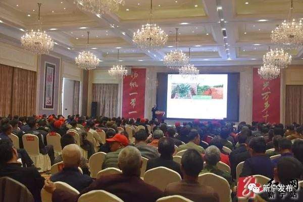 2019中国（新宁）脐橙产业发展大会召开