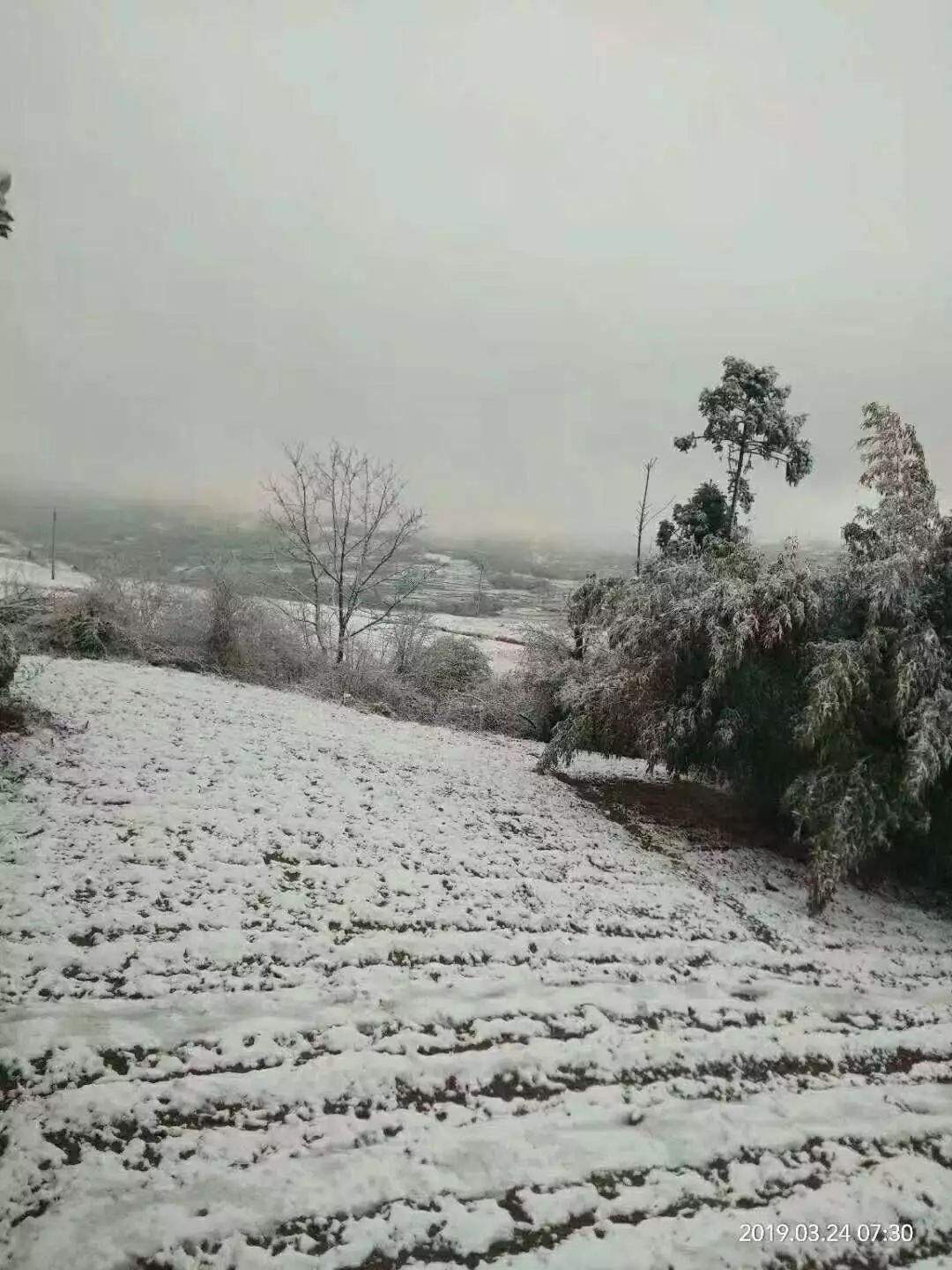 贵州这里居然下雪啦！明天起全省大升温，过两天强降雨